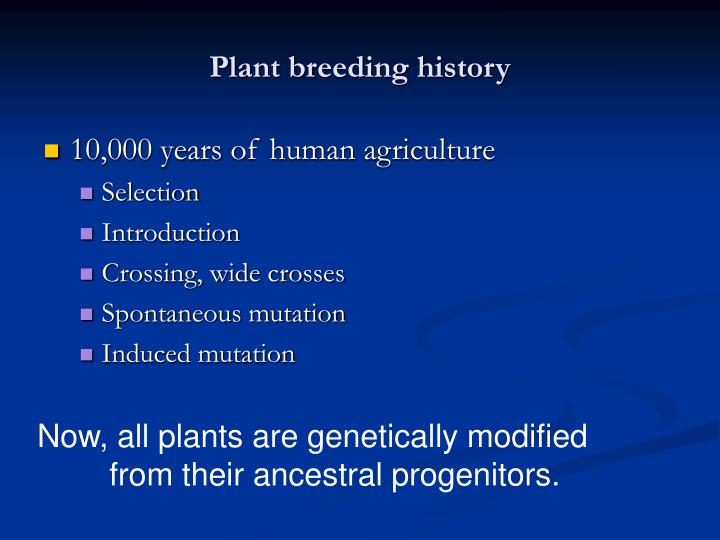 genetics plant breeding and selection rpt Full-text paper (pdf): genetic expression of tomato for heat and drought stress tolerance: an overview. genetics plant breeding and selection rpt Full-text paper (pdf): genetic expression of tomato for heat and drought stress tolerance: an overview.
