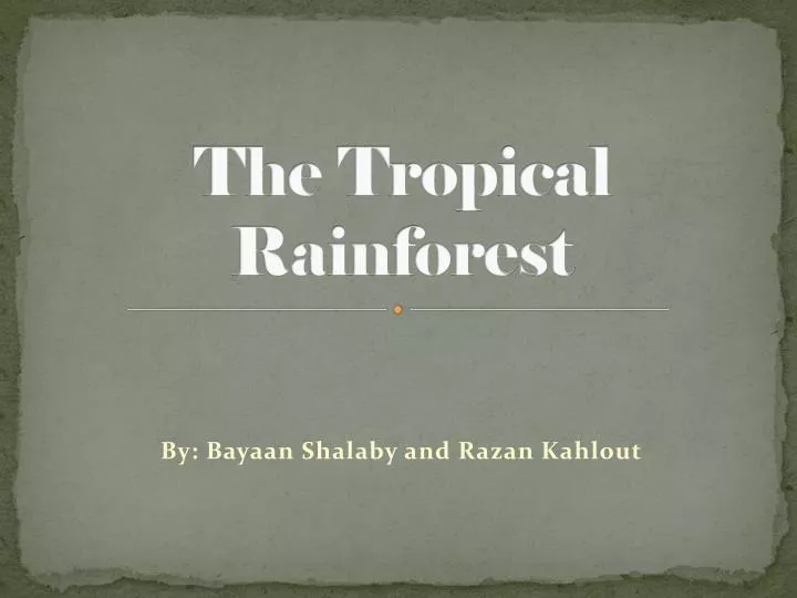 the tropical rainforest n.