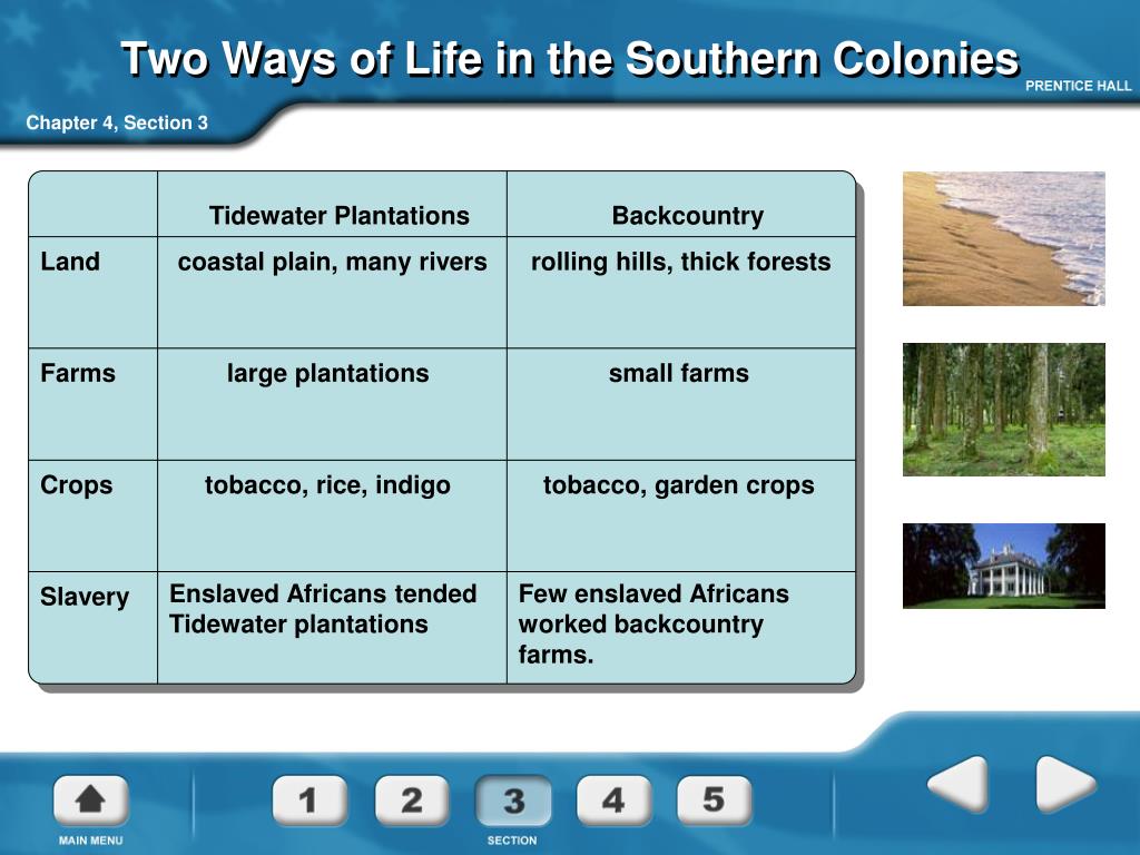 what two ways of life developed in the southern colonies