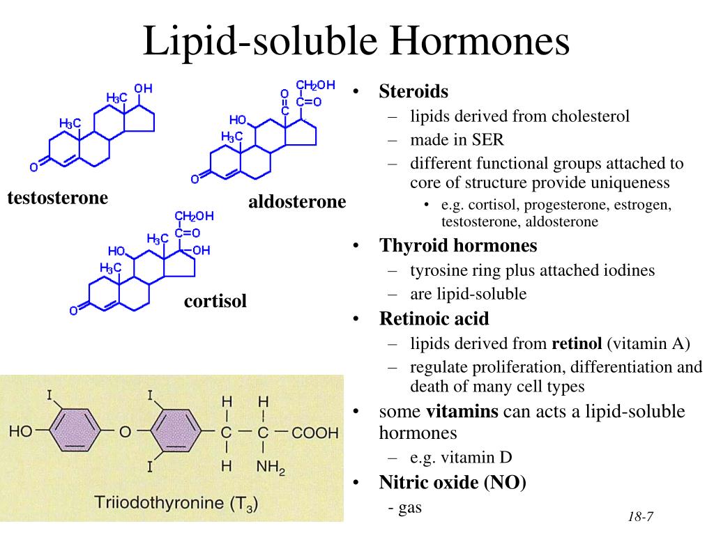 PPT The Endocrine System PowerPoint Presentation Free Download ID 