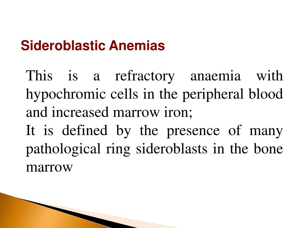 sideroblastic anemia pathophysiology