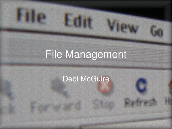 file management n.