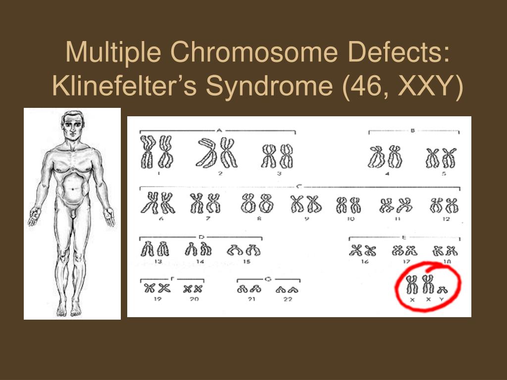 Ppt Errors And Exceptions In Chromosomal Inheritance Powerpoint