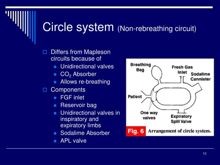 PPT ANAESTHESIA BREATHING CIRCUITS PowerPoint Presentation ID6731239