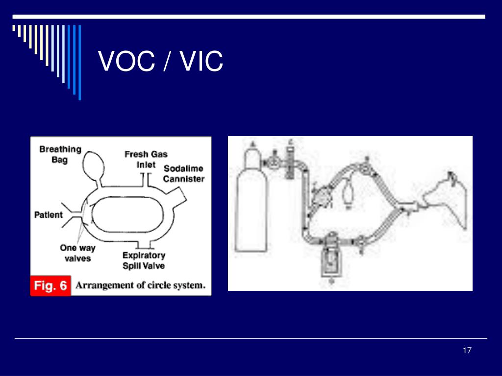 PPT - ANAESTHESIA BREATHING CIRCUITS PowerPoint Presentation, free download  - ID:6731239