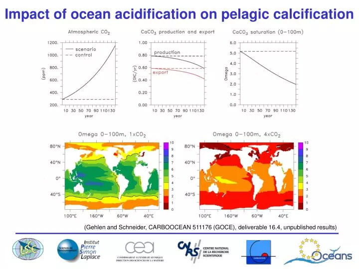 PPT Impact of ocean acidification on pelagic