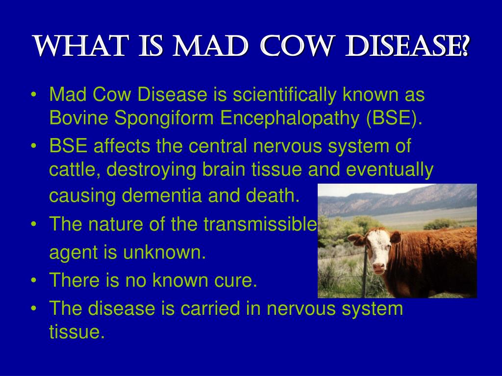 PPT Mad Cow Disease PowerPoint Presentation, free download ID6734205