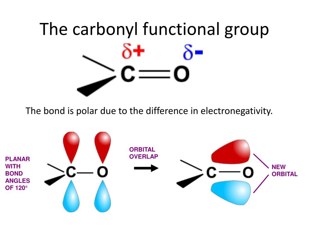 presentation of carbonyl group