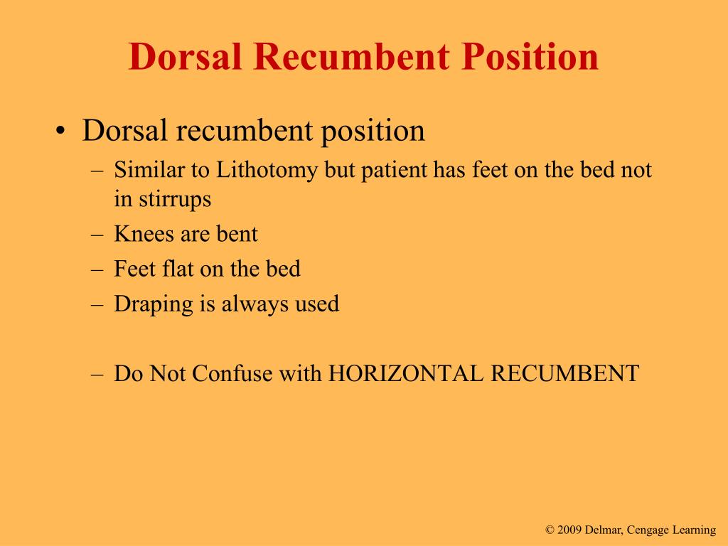 What is the Dorsal Recumbent Position? (2023)
