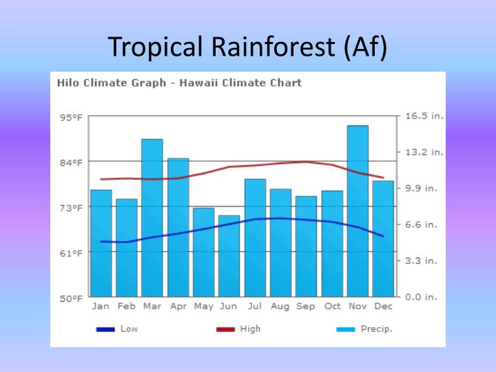 What Countries Have Tropical Rainforest Climates At Levi Gether Blog