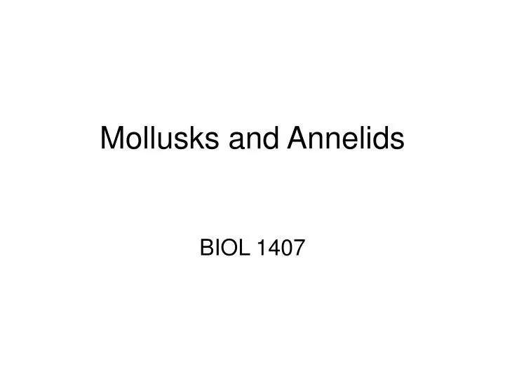 PPT - Chapter 29: Mollusks and Annelids PowerPoint 