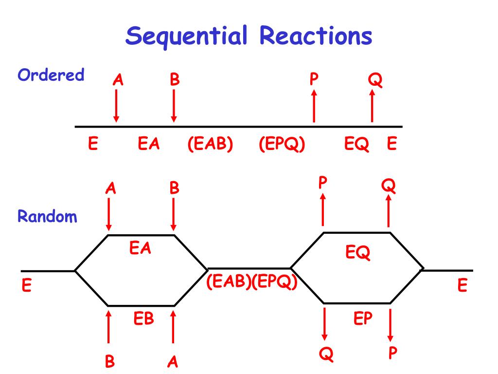 PPT Understanding Enzyme Kinetics Vmax Km And Kcat Values 