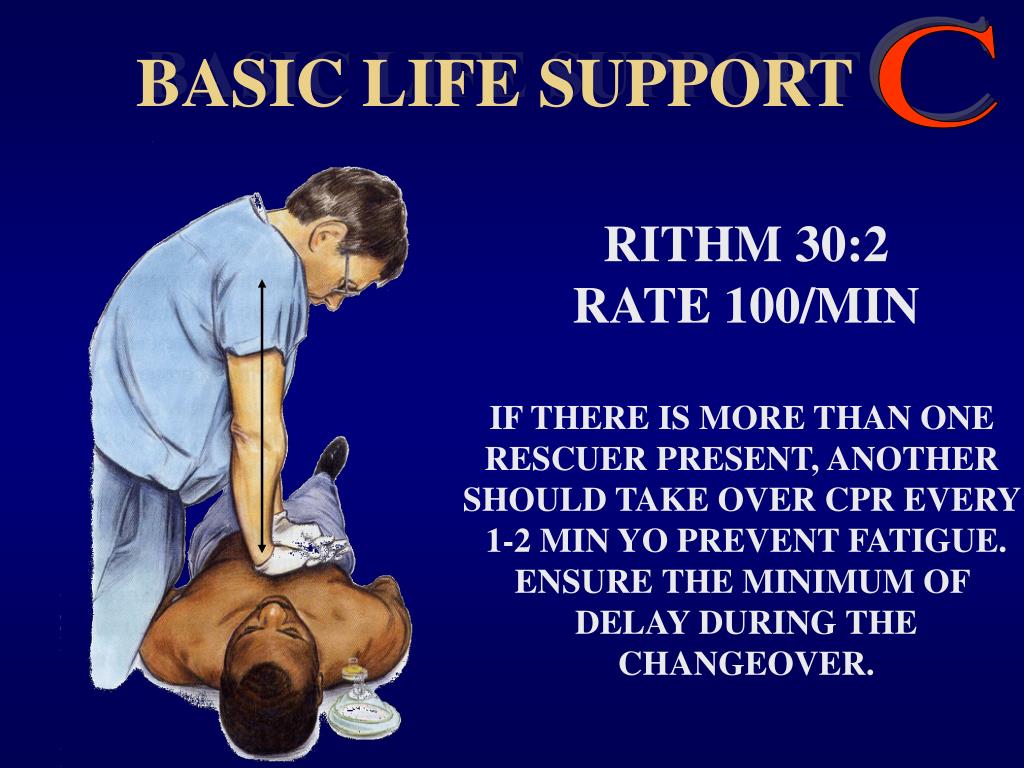 essay about basic life support