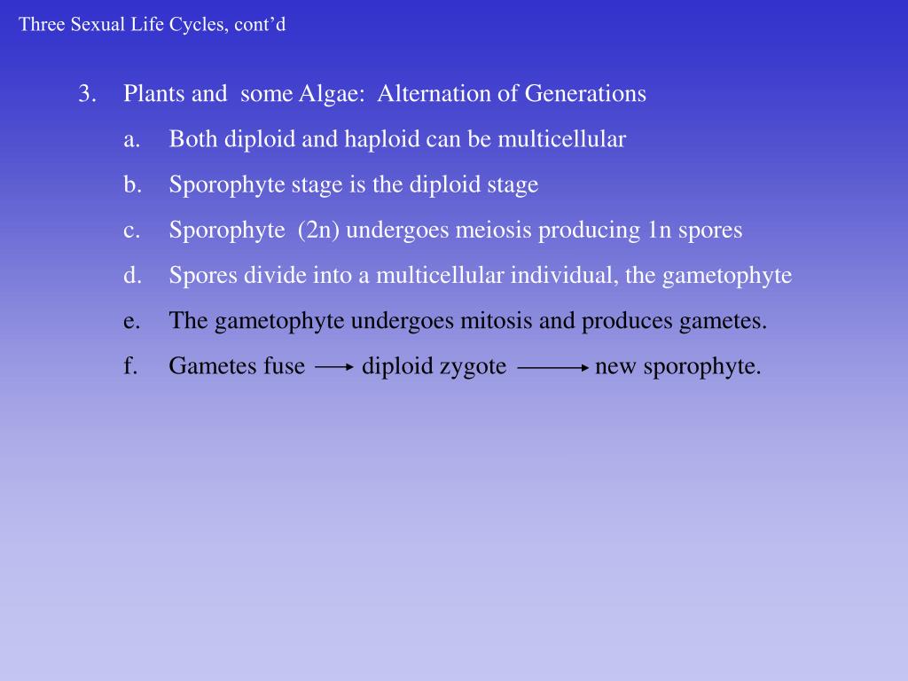PPT - Chap 13: Meiosis and Sexual Life Cycles PowerPoint Presentation ...