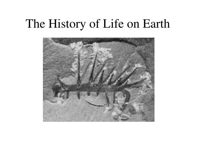 the history of life on earth Start studying history of life on earth learn vocabulary, terms, and more with flashcards, games, and other study tools. the history of life on earth Start studying history of life on earth learn vocabulary, terms, and more with flashcards, games, and other study tools.