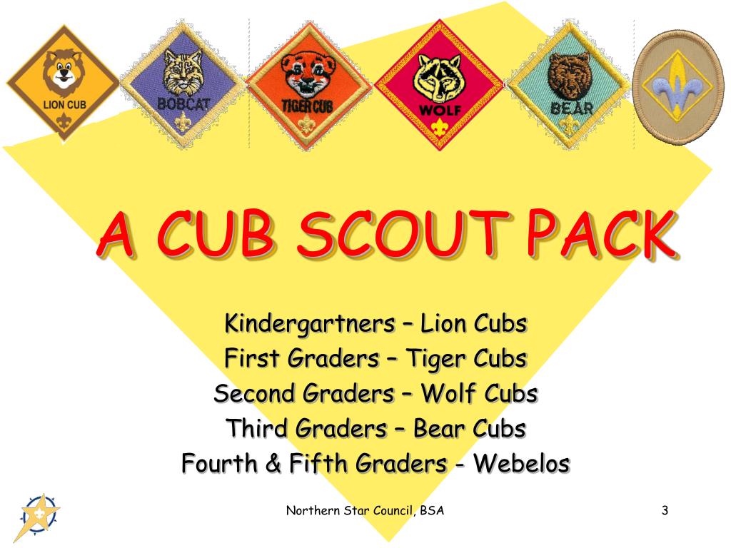 cub scout presentation of the colors