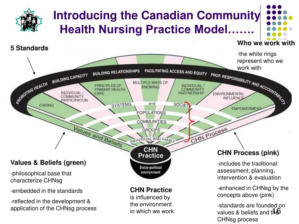 canadian community health nursing standards of practice