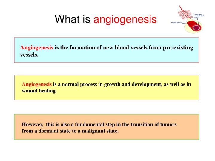 Angiogenesis presentation