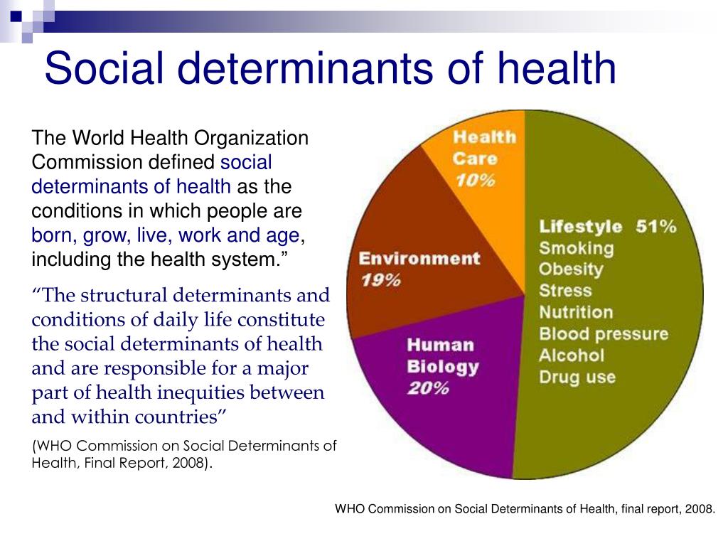 what is the definition of social in health and social care