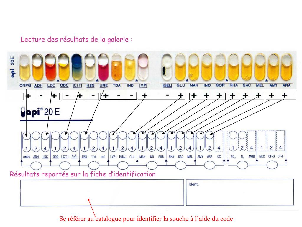 api-20e-tableau-d-identification-frameimage