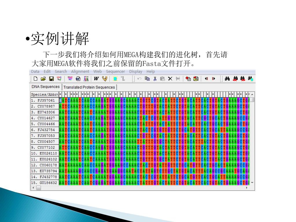 Ppt 系统进化树的构建方法与软件应用powerpoint Presentation Id