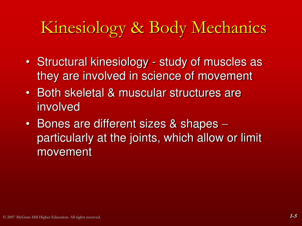 Foundations of Structural Kinesiology PowerPoint Presentation ... Biology Diagrams