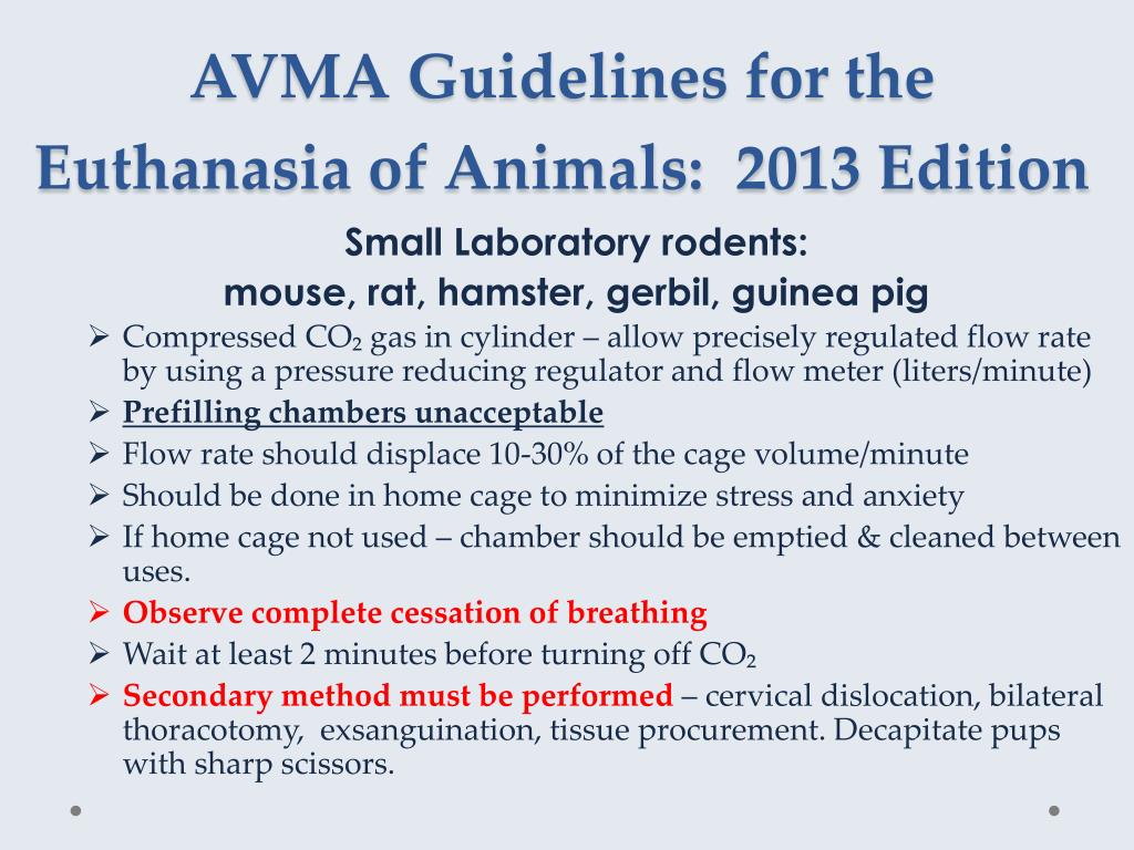 PPT CO₂ Euthanasia Procedure PowerPoint Presentation, free download