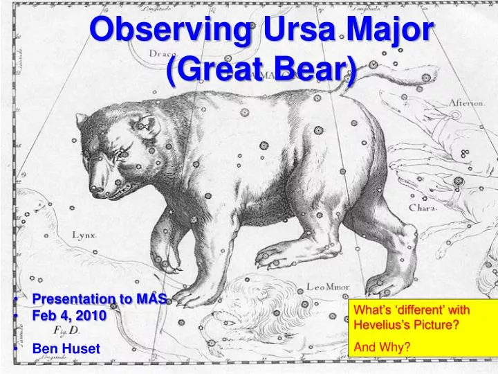 observing ursa major great bear n.