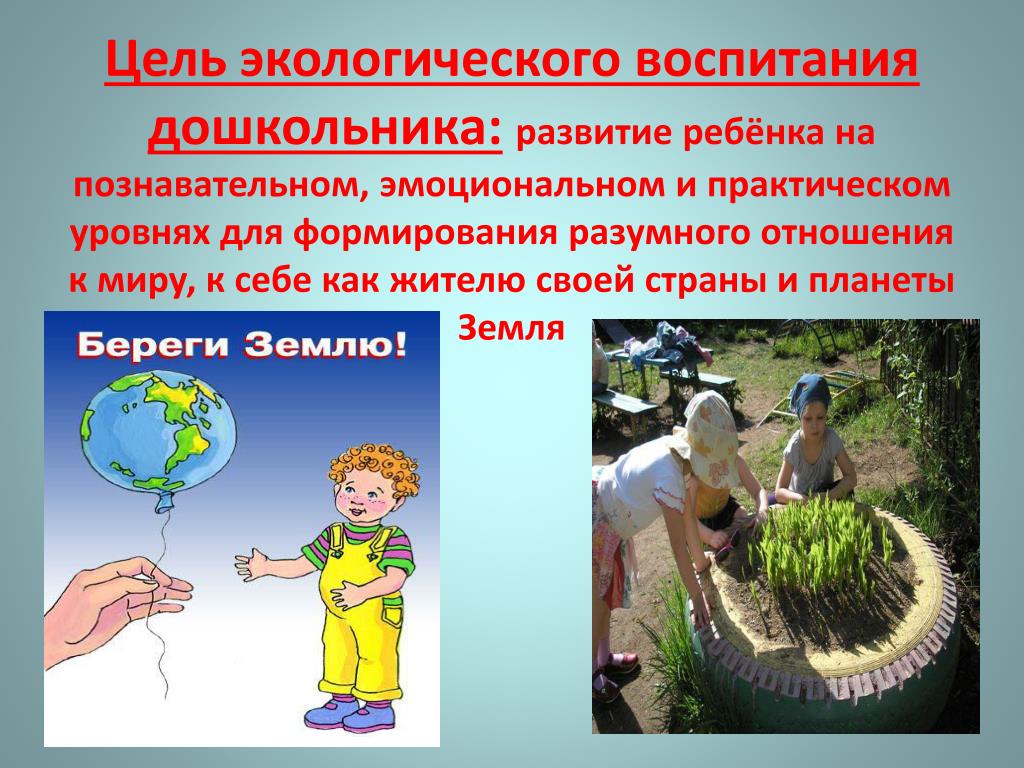 Экологические вопросы и развитие. Экологическое воспитание дошкольников. Экология для детей дошкольного возраста. Экологические проекты для дошкольников. Экологические вопитание.