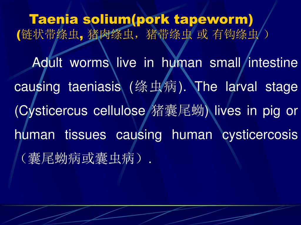 Pinworm biohelminth, Hogyan néz ki helminthiasisok tojás - Detoxic