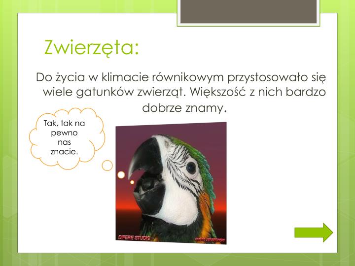 W Klimacie Podrównikowym Występują Przede Wszystkim Rzeki PPT - Strefa klimatów równikowych PowerPoint Presentation - ID:6755223