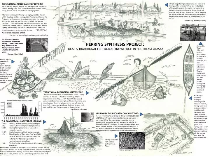 PPT THE CULTURAL SIGNIFICANCE OF HERRING PowerPoint Presentation