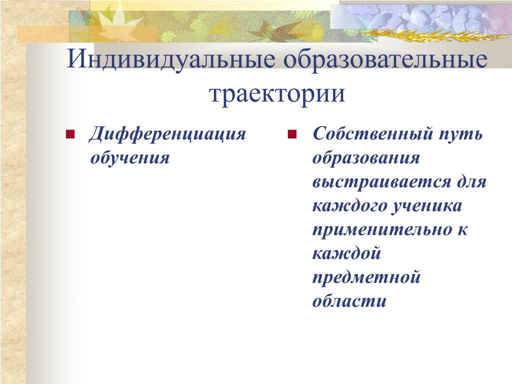 Презентация по математике "Индивидуальные образовательные траектории в образоват
