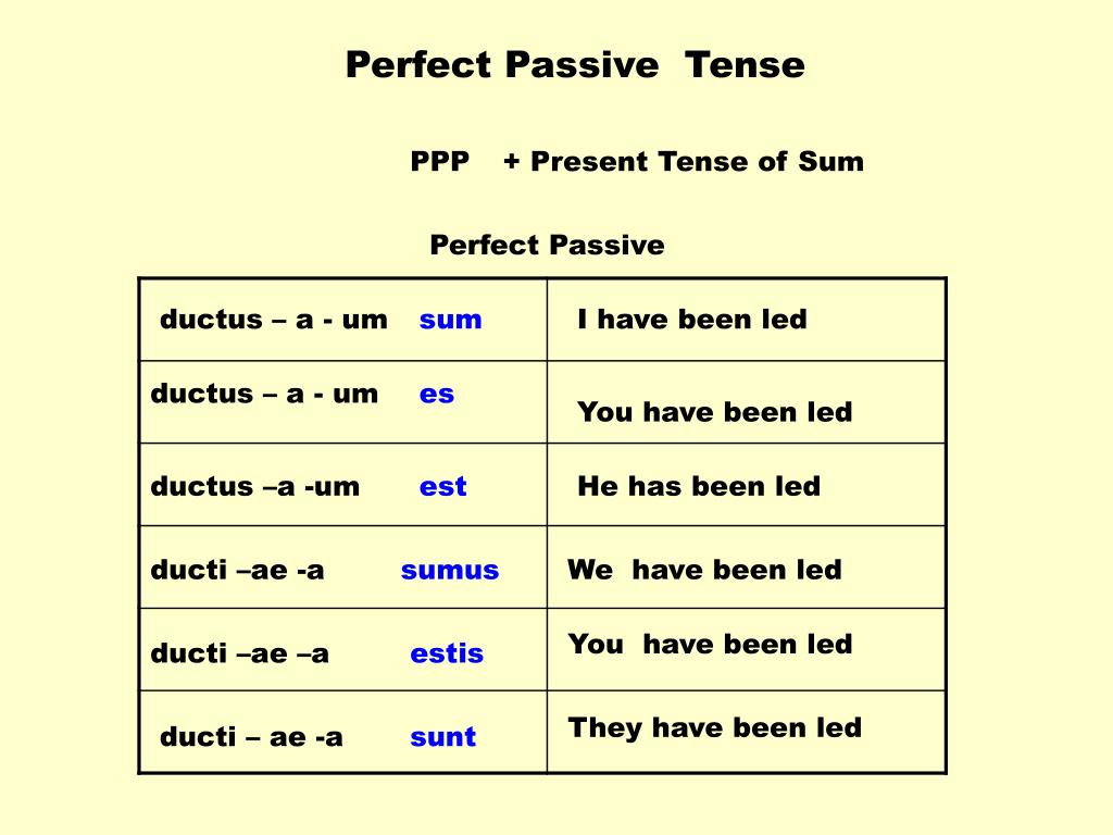 Present perfect passive form. Present perfect в пассиве. Пассивный Перфект. Present perfect Passive Voice. Present perfect Passive.