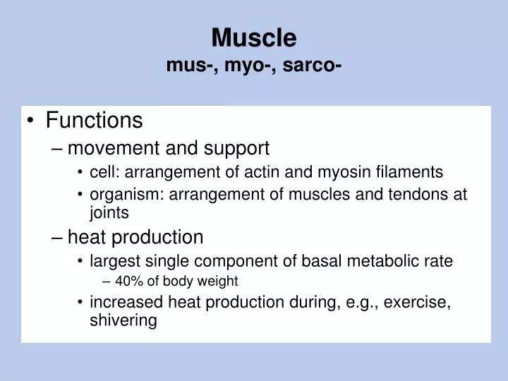 muscle mus myo sarco n.