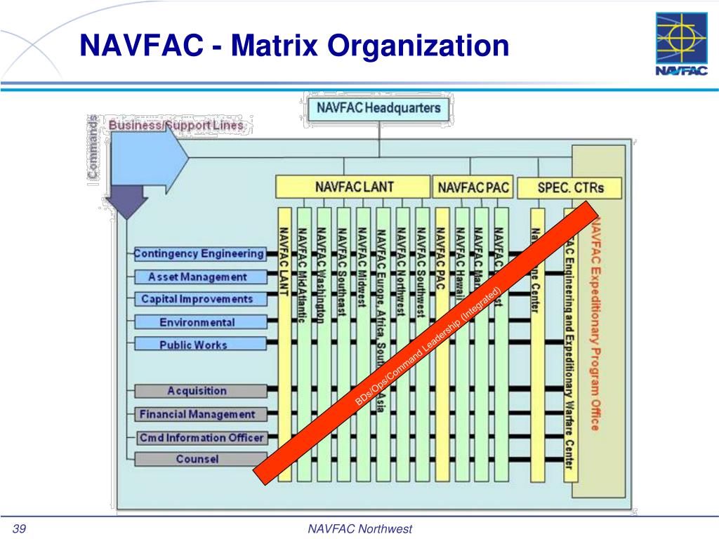 Navfac Organization Chart