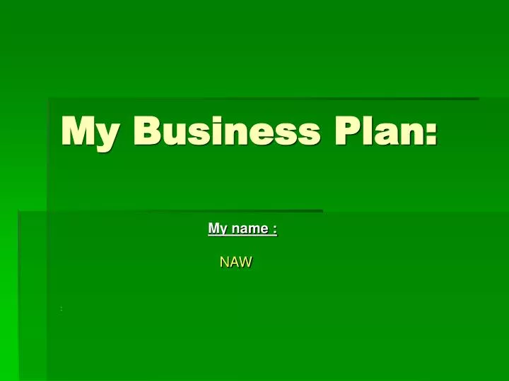 my business plan n.