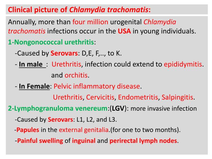clamidia e uretrite clamidia e uretrite