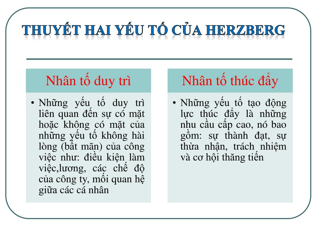 PHÂN TÍCH CÁC CHỨC NĂNG QUẢN TRỊ TẠI MICROSOFT TOYOTA VÀ VINAMILK
