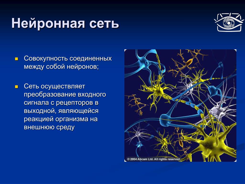 Осуществляет связь между нейронами какой нейрон. Нейрон и синапс нейросеть. Нейронные связи в мозге. Нервная клетка. Нейрон в нейронной сети.