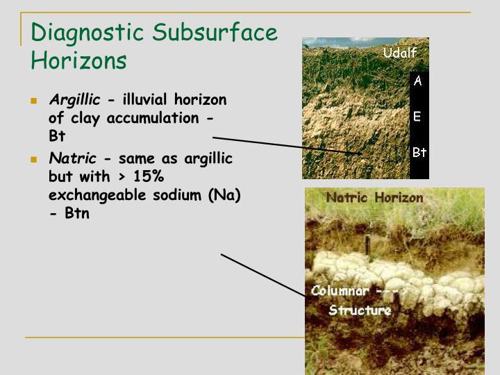 PPT - Lecture 5a Soil Taxonomy PowerPoint Presentation - ID:6762436