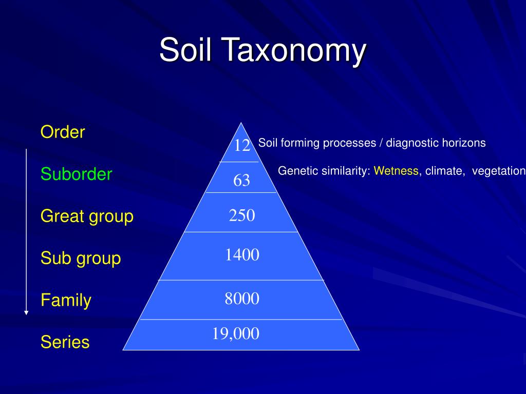 Таксономия wordpress. USDA Soil taxonomy. Soil-forming. Chinese Soil taxonomy. Таксономия ЕС.