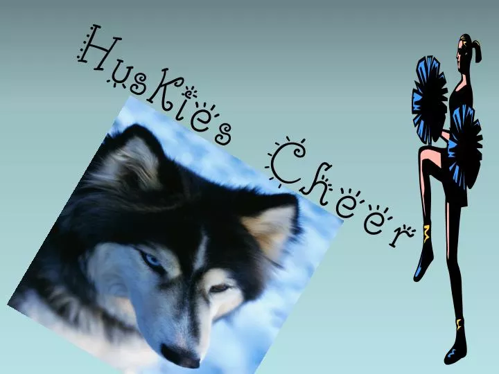 huskies cheer n.