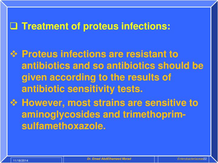 PPT SHIGELLA & PROTEUS PowerPoint Presentation ID6763854