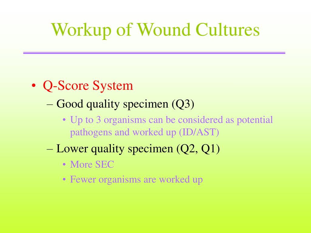 Wound Culture Algorithm PPT - Dr. Kiarash Ghazvini Department for bacteriology and virology ...