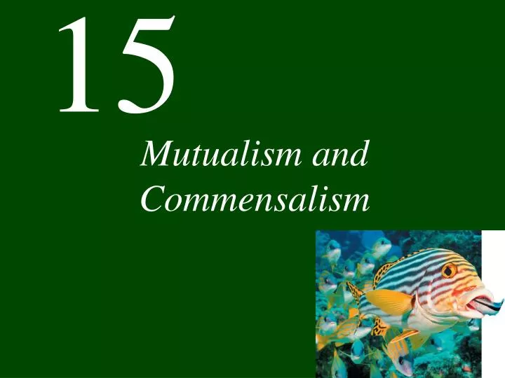 Ppt Mutualism And Commensalism Powerpoint Presentation Free