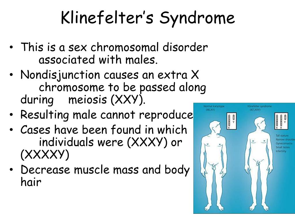 PPT - Notes: Karyotypes PowerPoint Presentation, free download - ID:6770055