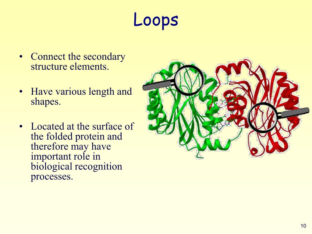 PPT - Proteins Secondary Structure Predictions PowerPoint Presentation -  ID:6771320