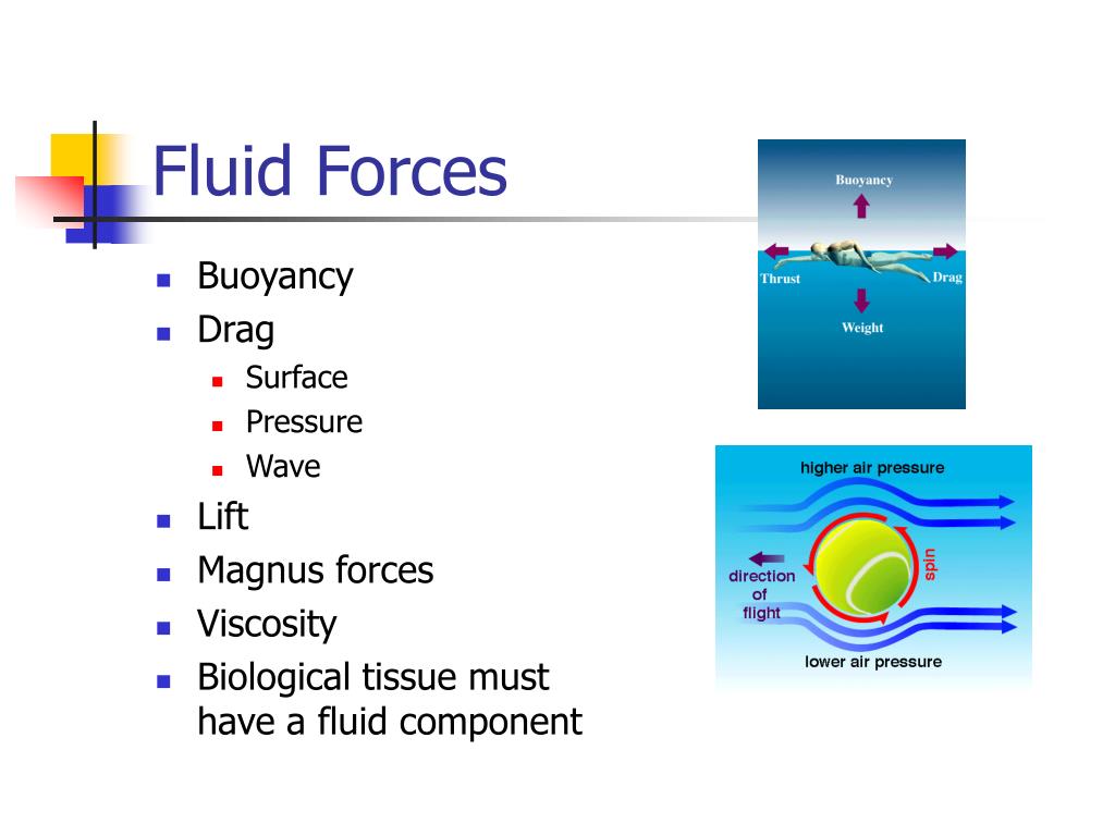 PPT Chapter 3 Biomechanics Concepts I PowerPoint Presentation, free PPT Chapter 3 Biomechanics Concepts I PowerPoint Presentation, free