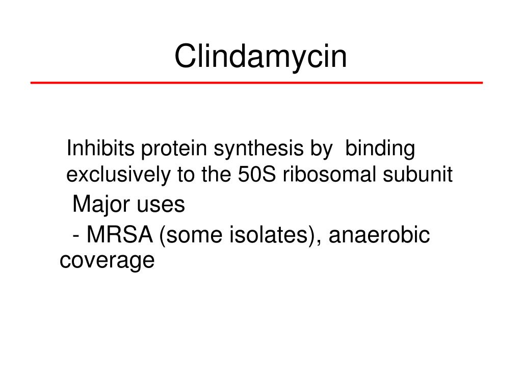 PPT Antibiotics 101 PowerPoint Presentation Free Download ID 6771828 PPT Antibiotics 101 PowerPoint Presentation Free Download ID 6771828
